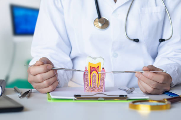 Best Emergency Root Canal Treatment in Moline, IL